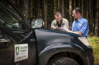 2 foresters collaborating on a job