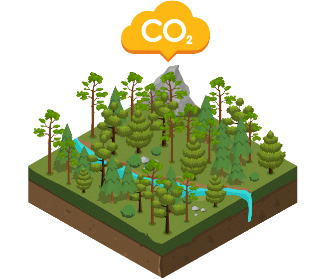 Natural Capital icon depicting the C02 level of a forest property